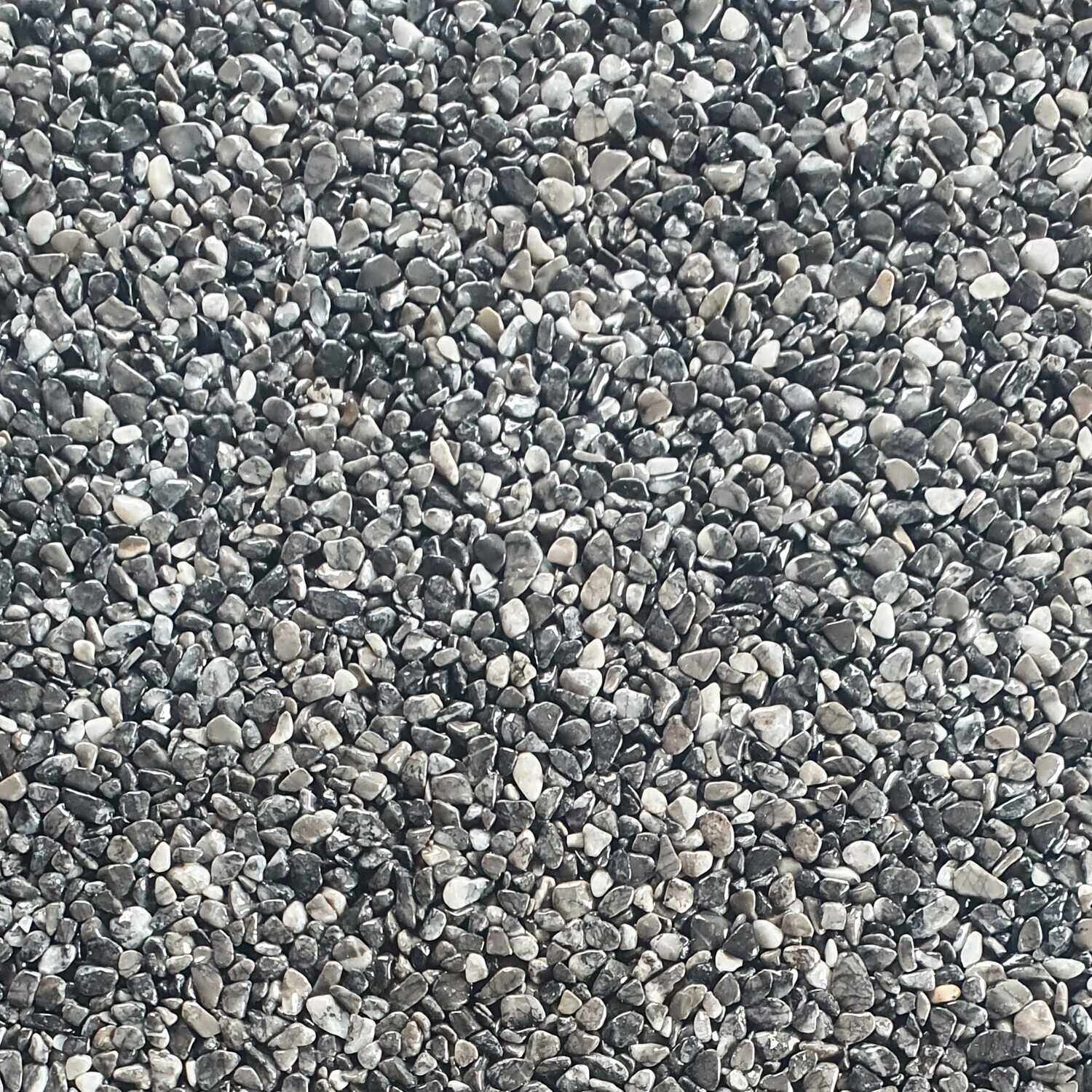 Grigio Carnico