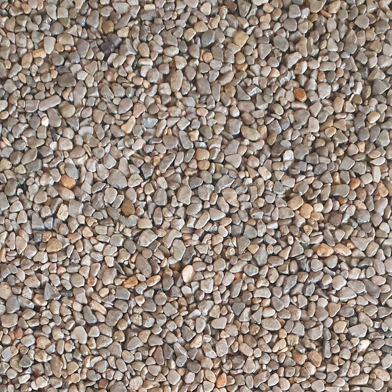 Grigio Occhialino