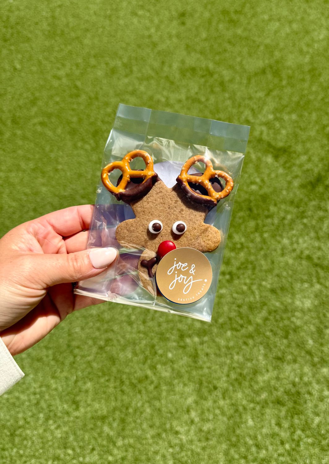 Rudolf the Red Nosed Gingerbread Reindeer