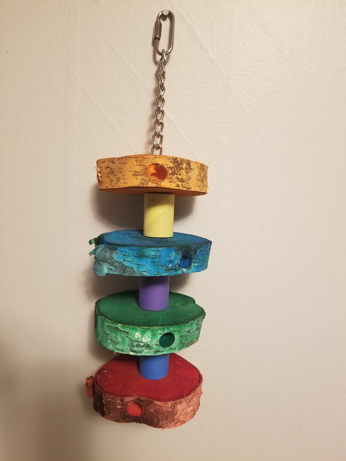 Medium Foraging Rainbow