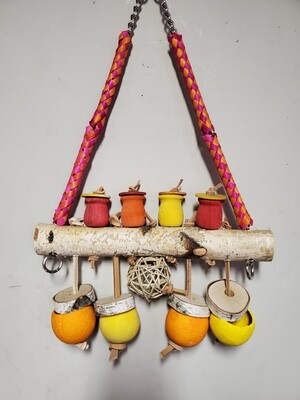 Fiesta Forager
