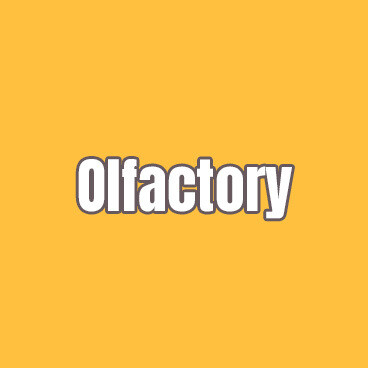 Olfactory