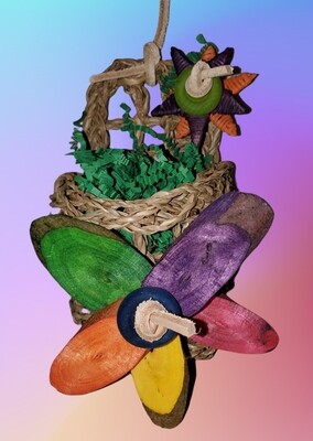 Spring Into Foraging DIY Kit
