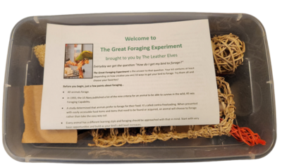 Foraging Fun Kit