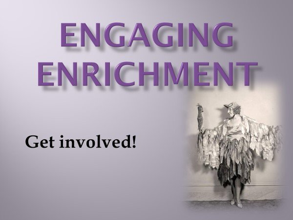 Engaging Enrichment (German Style) Webinar May 13, 2018 at 2:30 PM