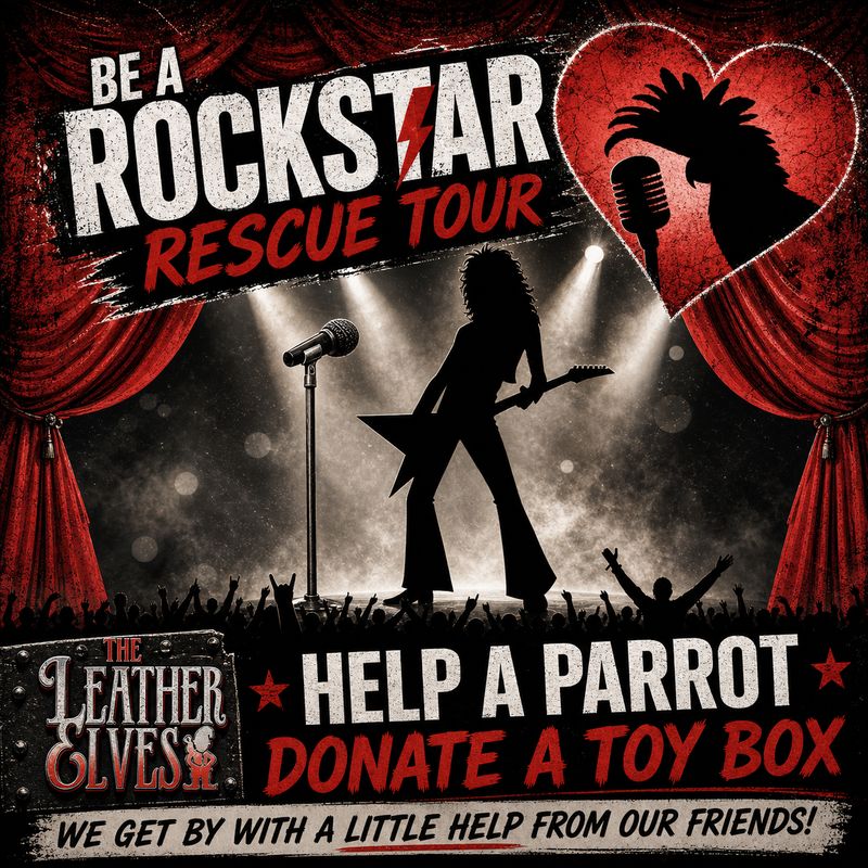 Be A Rockstar!