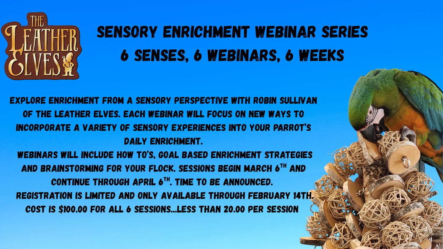 Sensory Enrichment Webinar