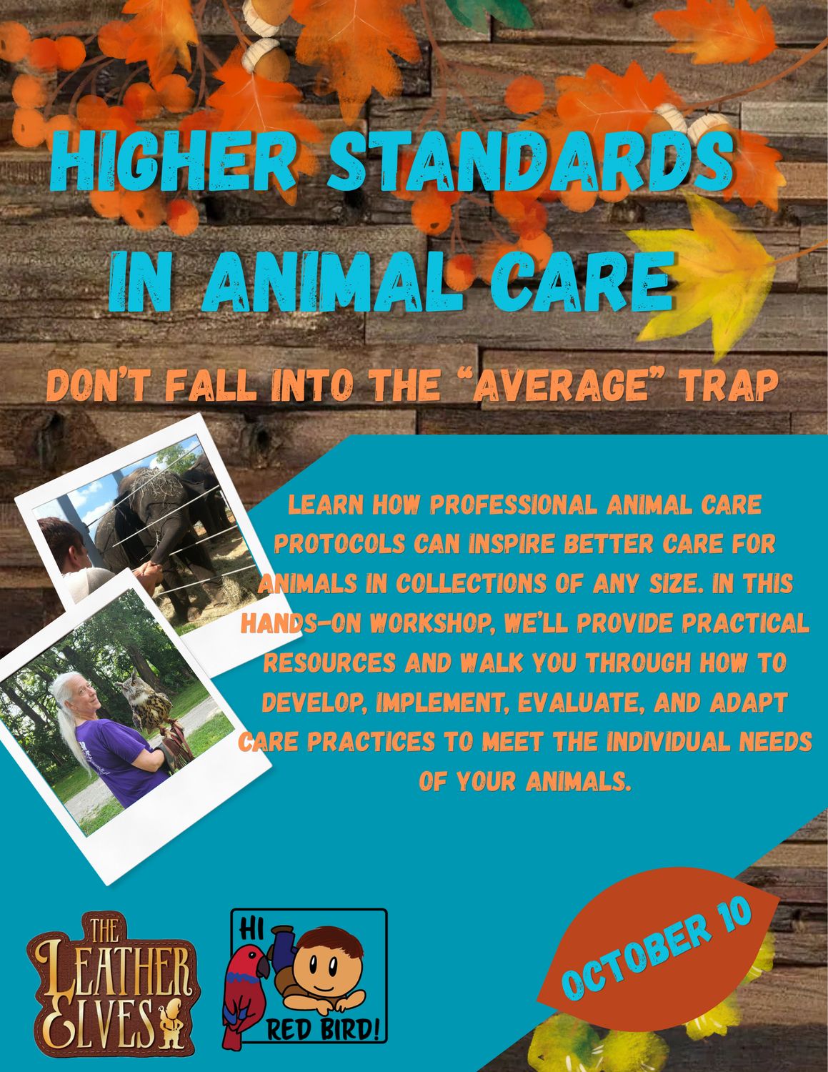 Higher Standards In Animal Care