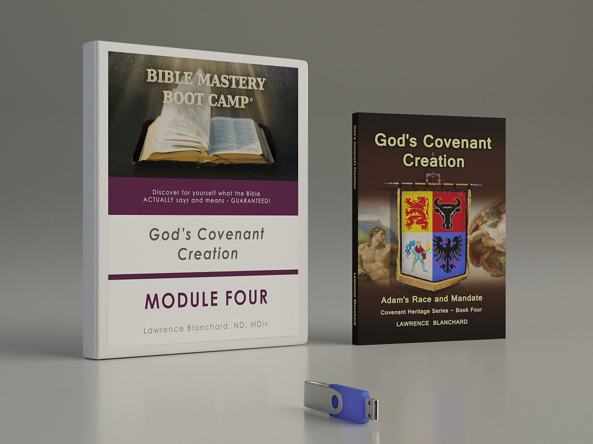 Module Four: God&#39;s Covenant Creation