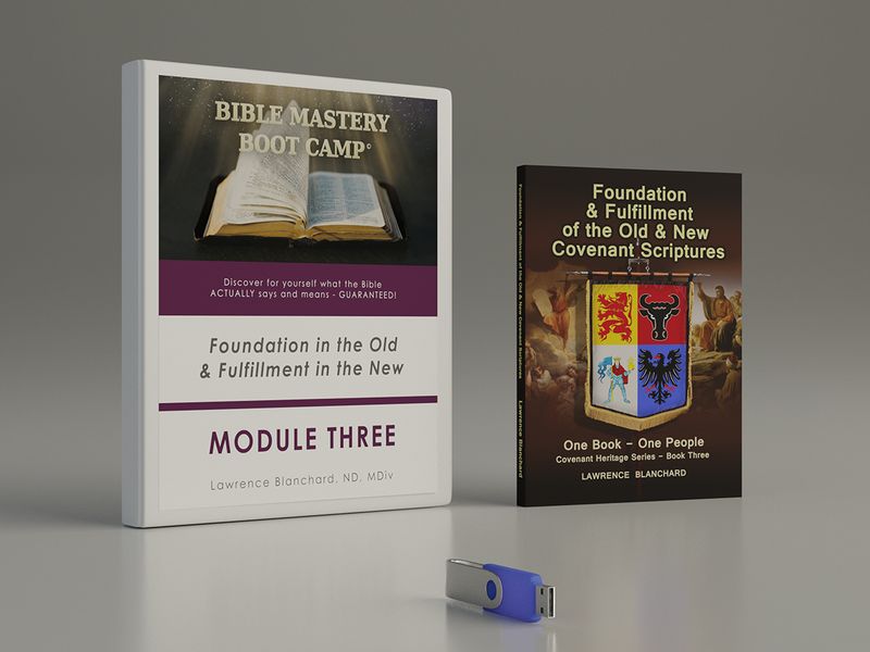 Module Three Special Digital Promotion Module Three Special Digital Promotion