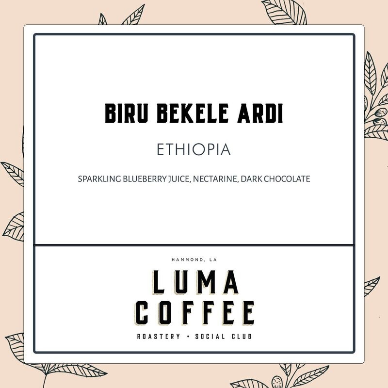 Ethiopia Biru Bekele Ardi