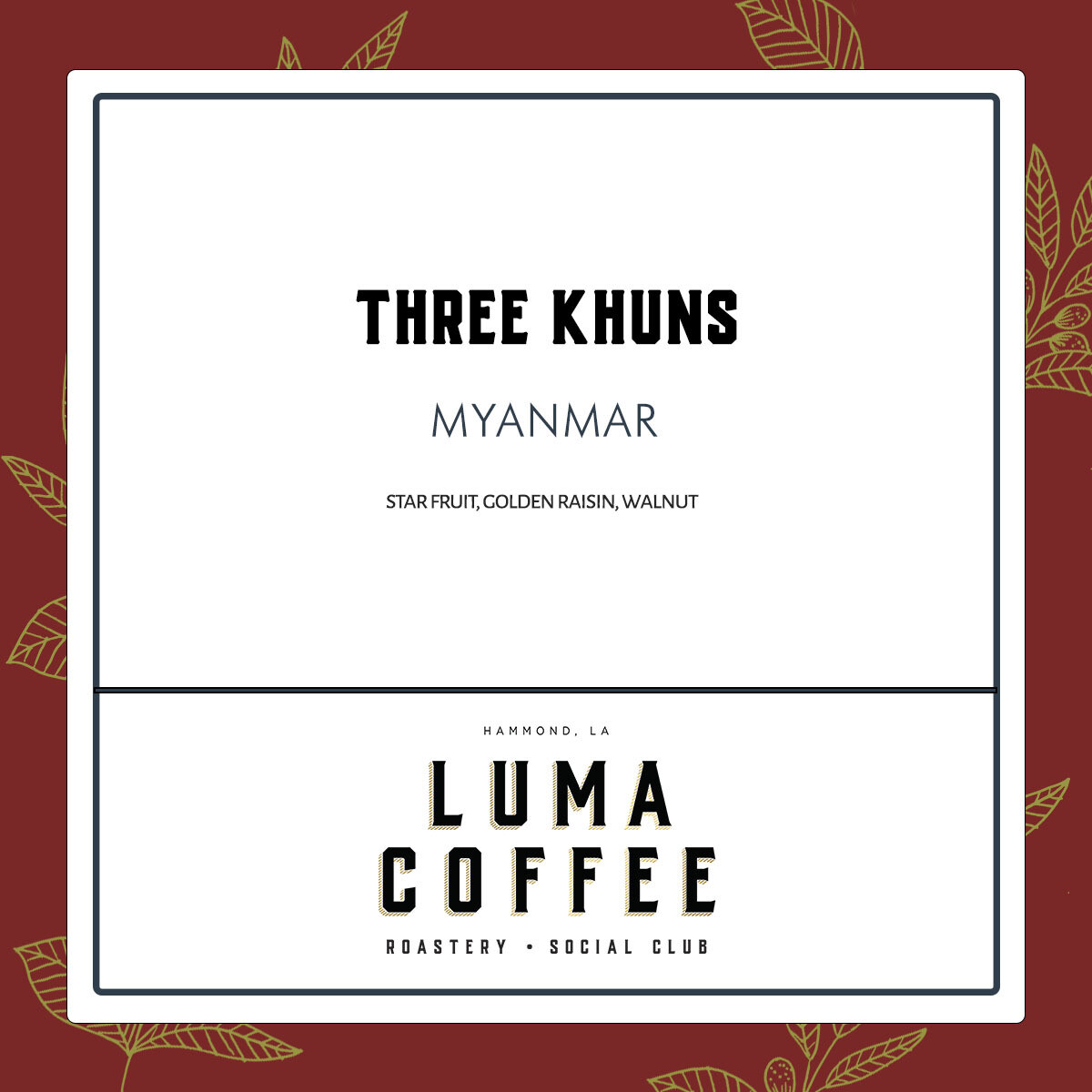 Three Khuns Myanmar Retail Bag