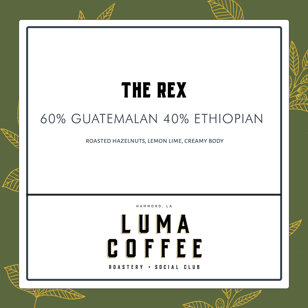 The Rex Retail Bag