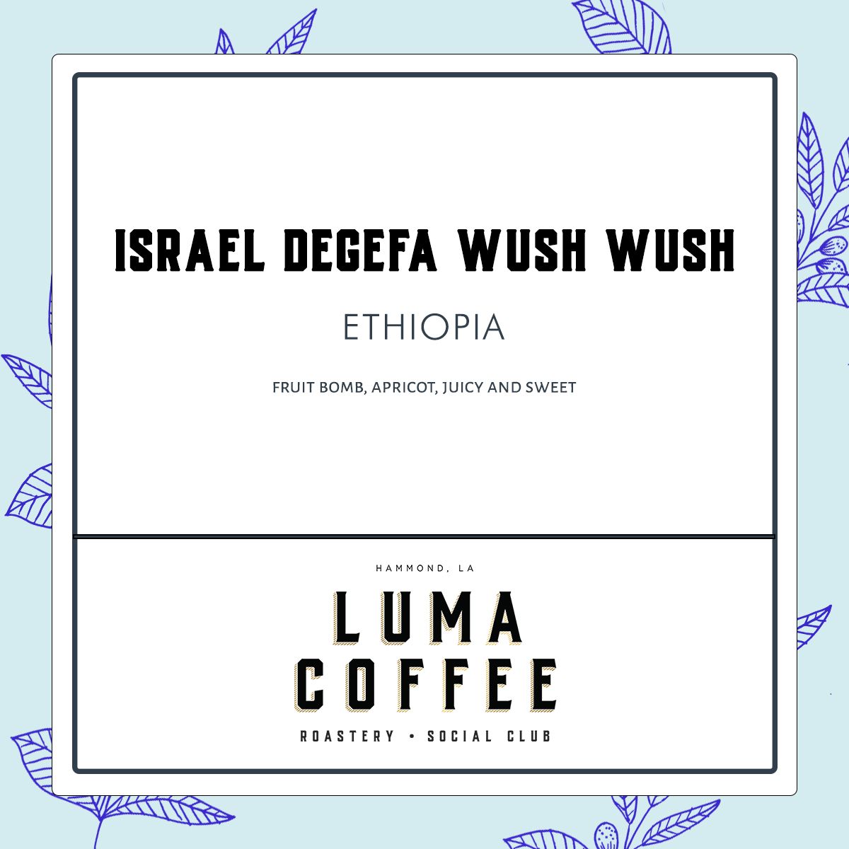 Israel Degefa Wush Wish