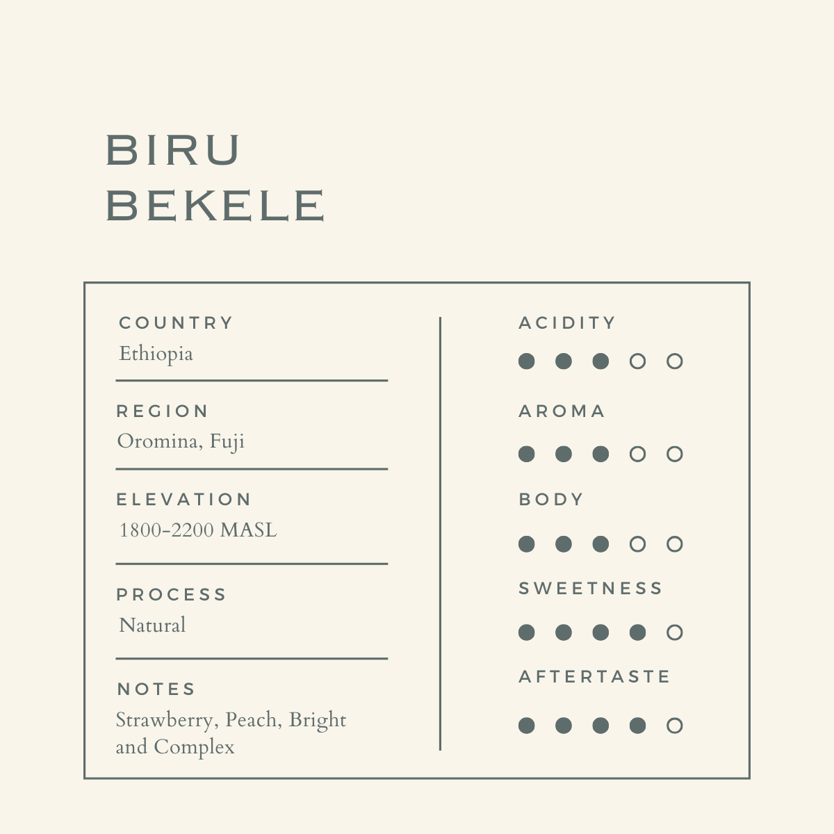 Ethiopia Biru Bekele Ardi