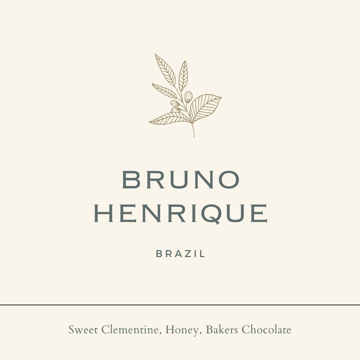 Brazil Bruno Henrique