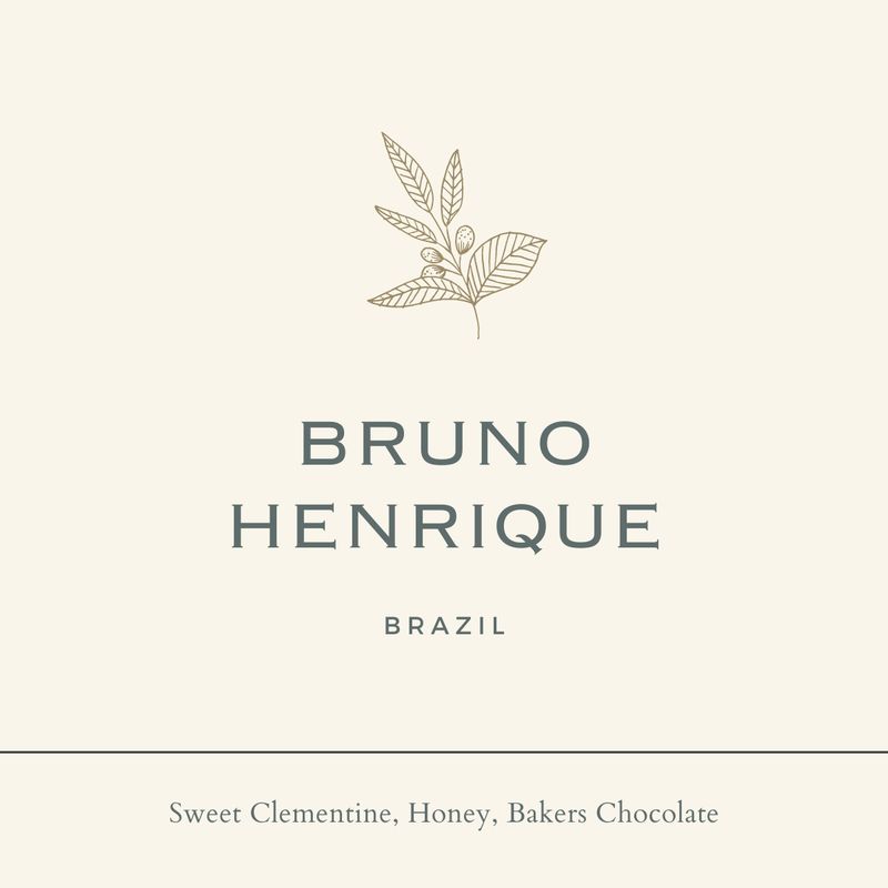 Brazil Bruno Henrique