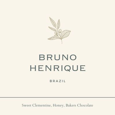 Brazil Bruno Henrique