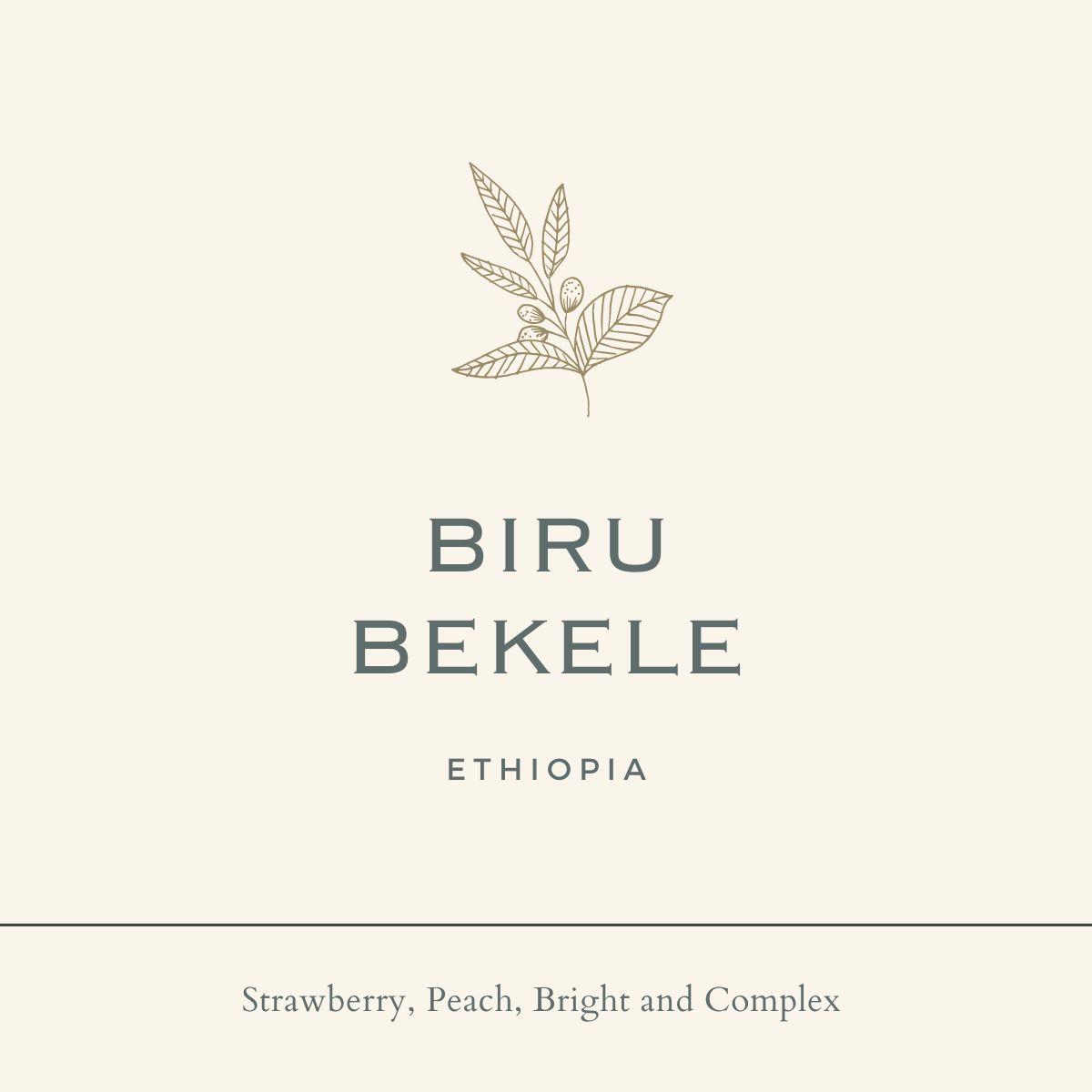 Ethiopia Biru Bekele Ardi