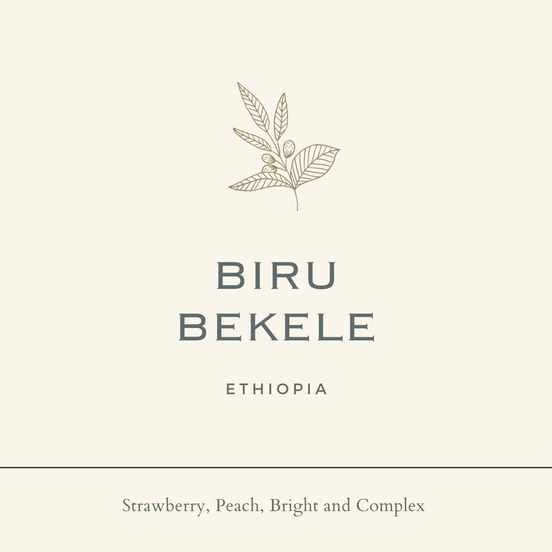 Ethiopia Biru Bekele Ardi