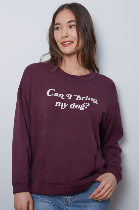Can I Bring my Dog - Fudge