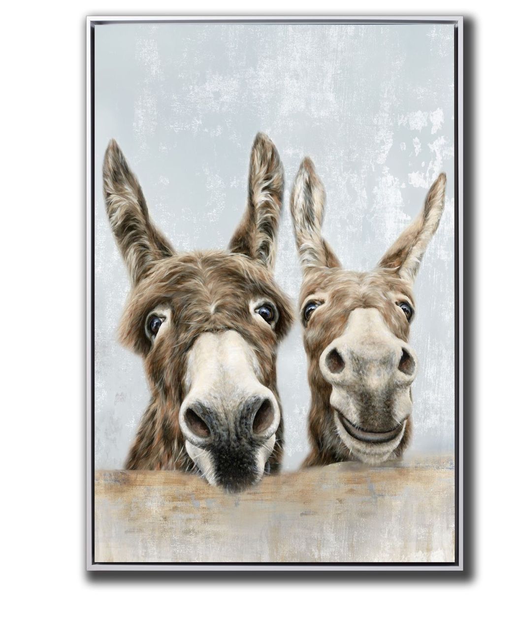 The Donkeys