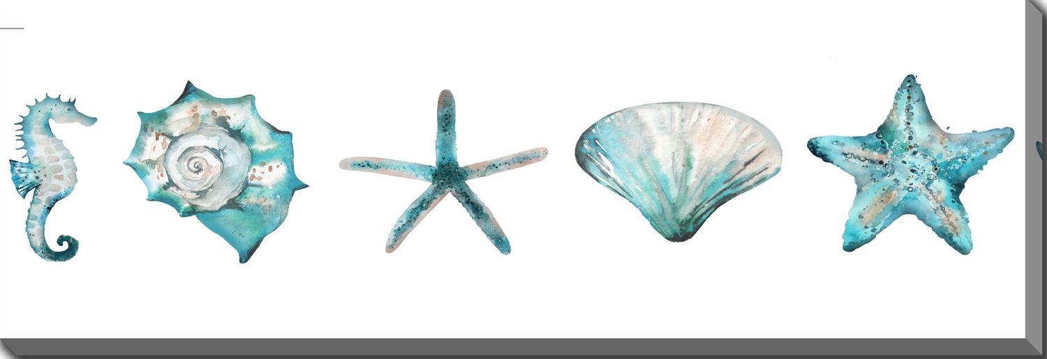 Teal Shells