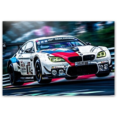 POSTER - SCHNITZER