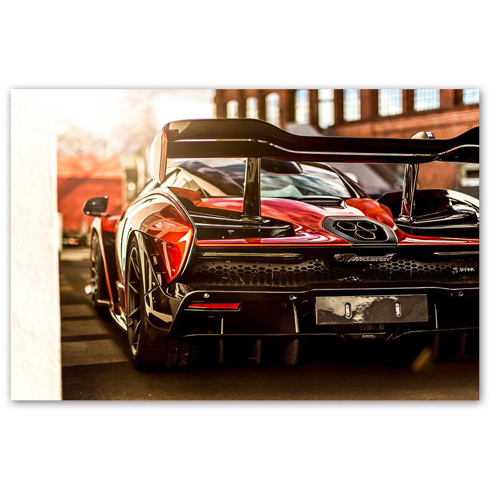POSTER - SENNA