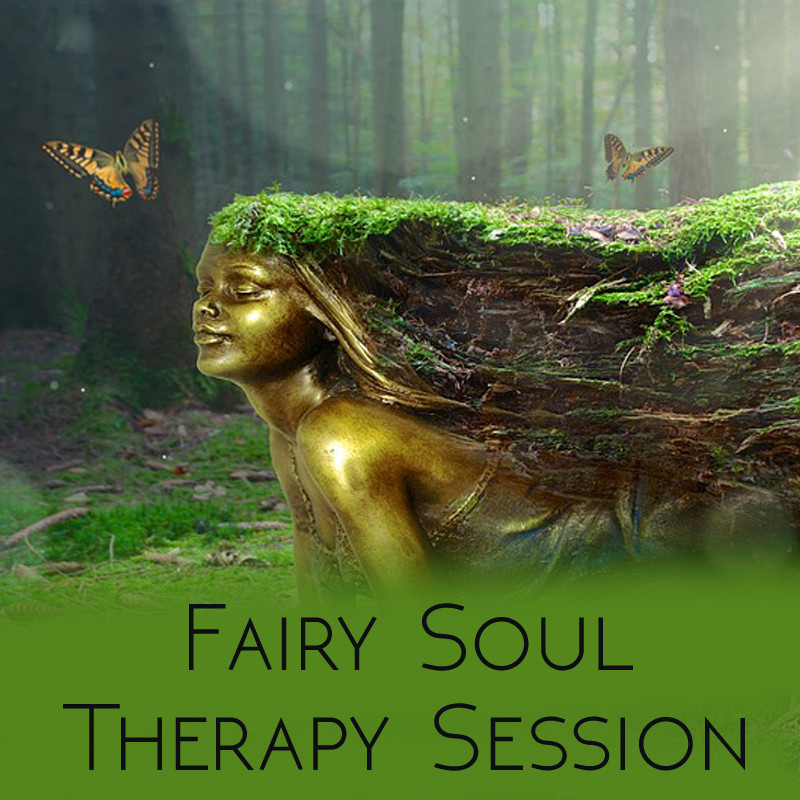 1 hour Fairy Soul Therapy Session