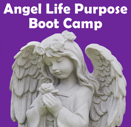 Angel Life Purpose Boot Camp