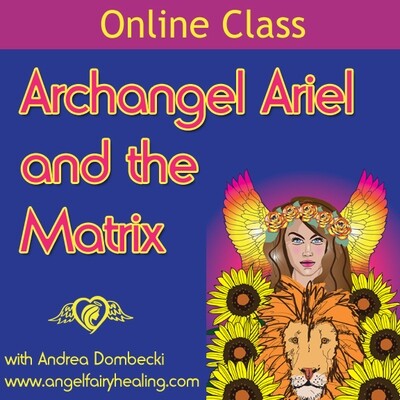 Archangel Ariel and the Matrix Online Class