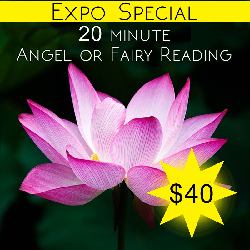 20 Mini Angel or Fairy Reading