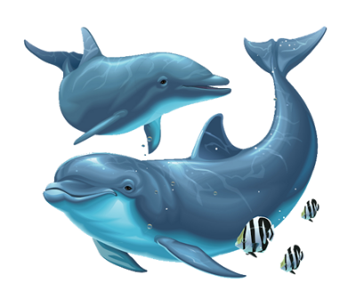 Mermaid Classes