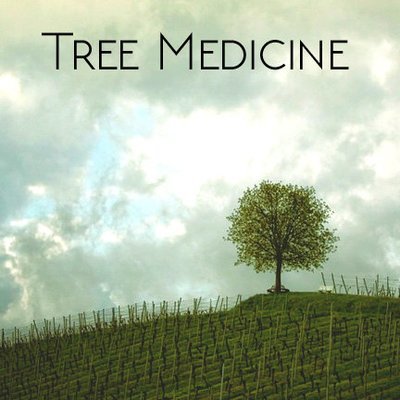 Tree Medicine Class