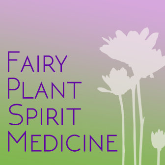 Fairy Plant Spirit Medicine