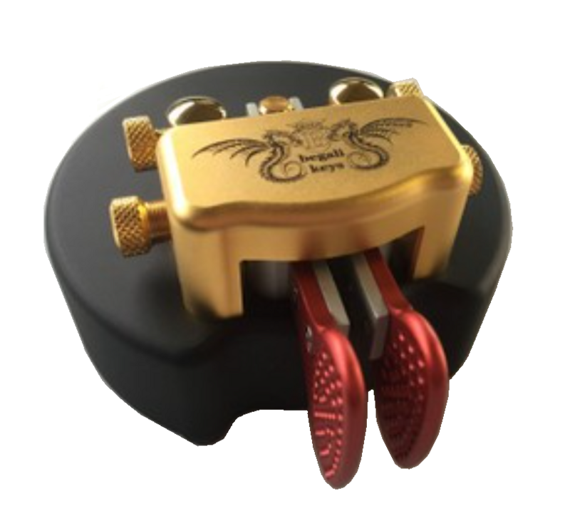 Begali Pearl Pro black/Turtle