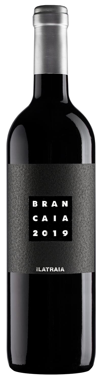 Ilatraia 2019 Toscana IGT - Brancaia