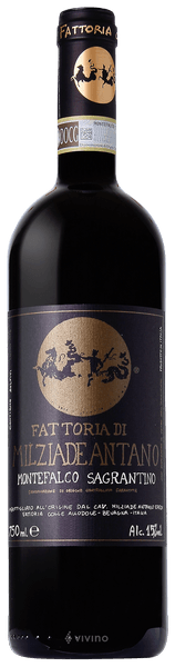 Bottle of Montefalco Sagrantino 2016 – Fattoria Colleallodole, Montefalco Sagrantino DOCG