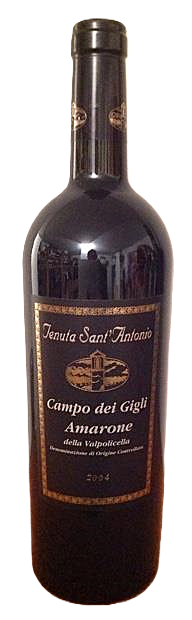 Bottle of Amarone della Valpolicella Campo dei Gigli 2004 – Tenuta Sant'Antonio, Amarone della Valp…