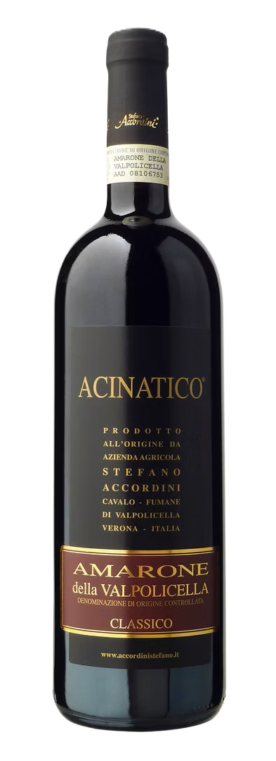 Amarone della Valpolicella Classico Acinatico 2020 DOCG - Stefano Accordini