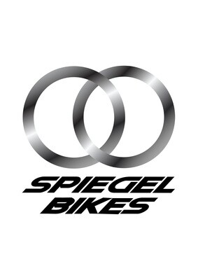 Spiegel San Marino Custom Bicycle Frames - ON SALE!