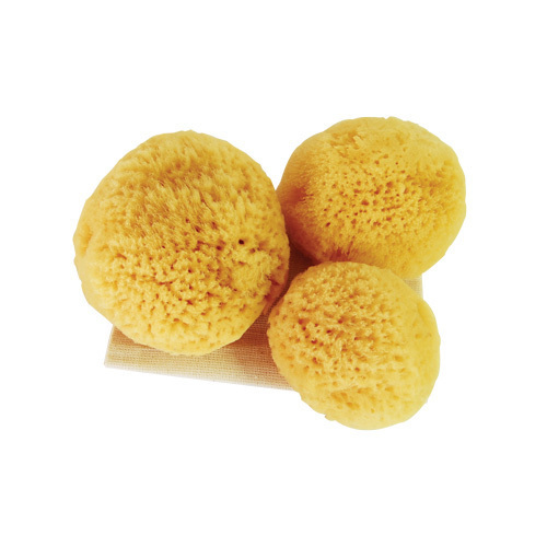 Regular 3 in 1 Sea Pearls Reusable Sea Sponges with Cotton Bag - Pack of 3 (2xRegular 1xLarge). BUY 1 GET 1 FREE.