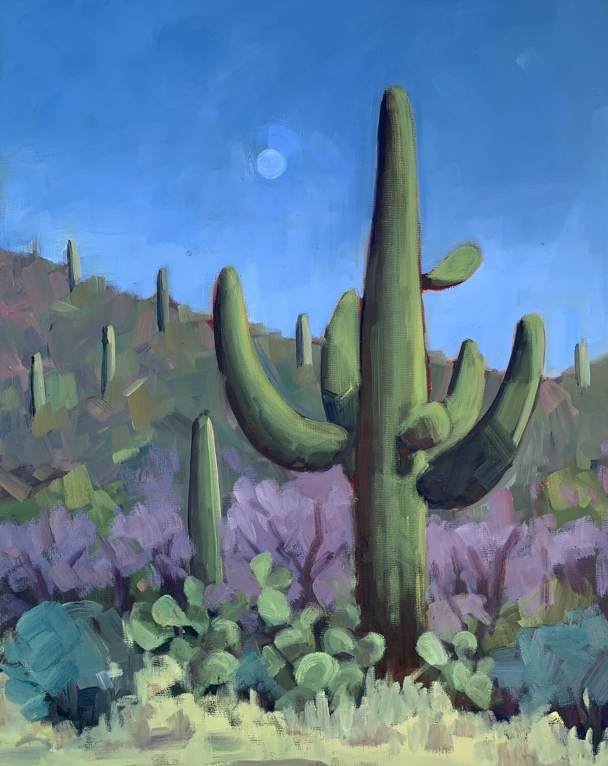 Original Oil Painting - Sonoran Bliss - 16x20