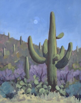 Sonoran Bliss - 10x8” Fine Art Giclee Print - Tucson Painting