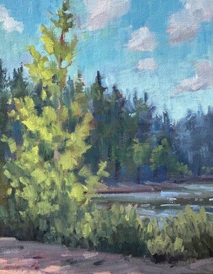 Original Oil Painting - Young Cottonwood - 10x8”