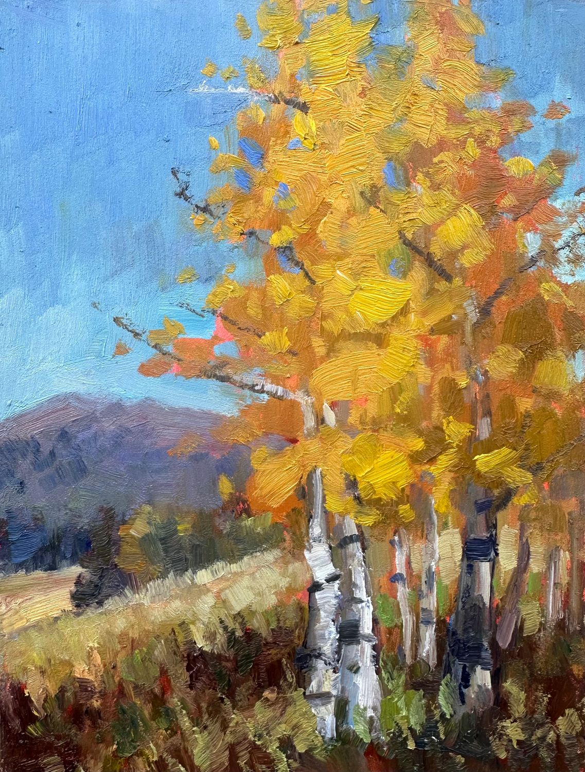 Snow Bowl Aspens - oil painting - 8x6”