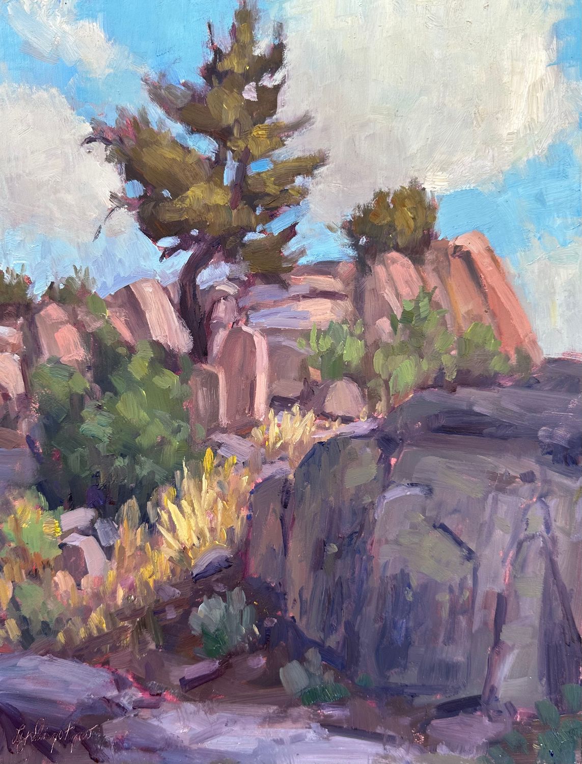 Original Oil Painting -  Granite Gardens - 14x11” (unframed)