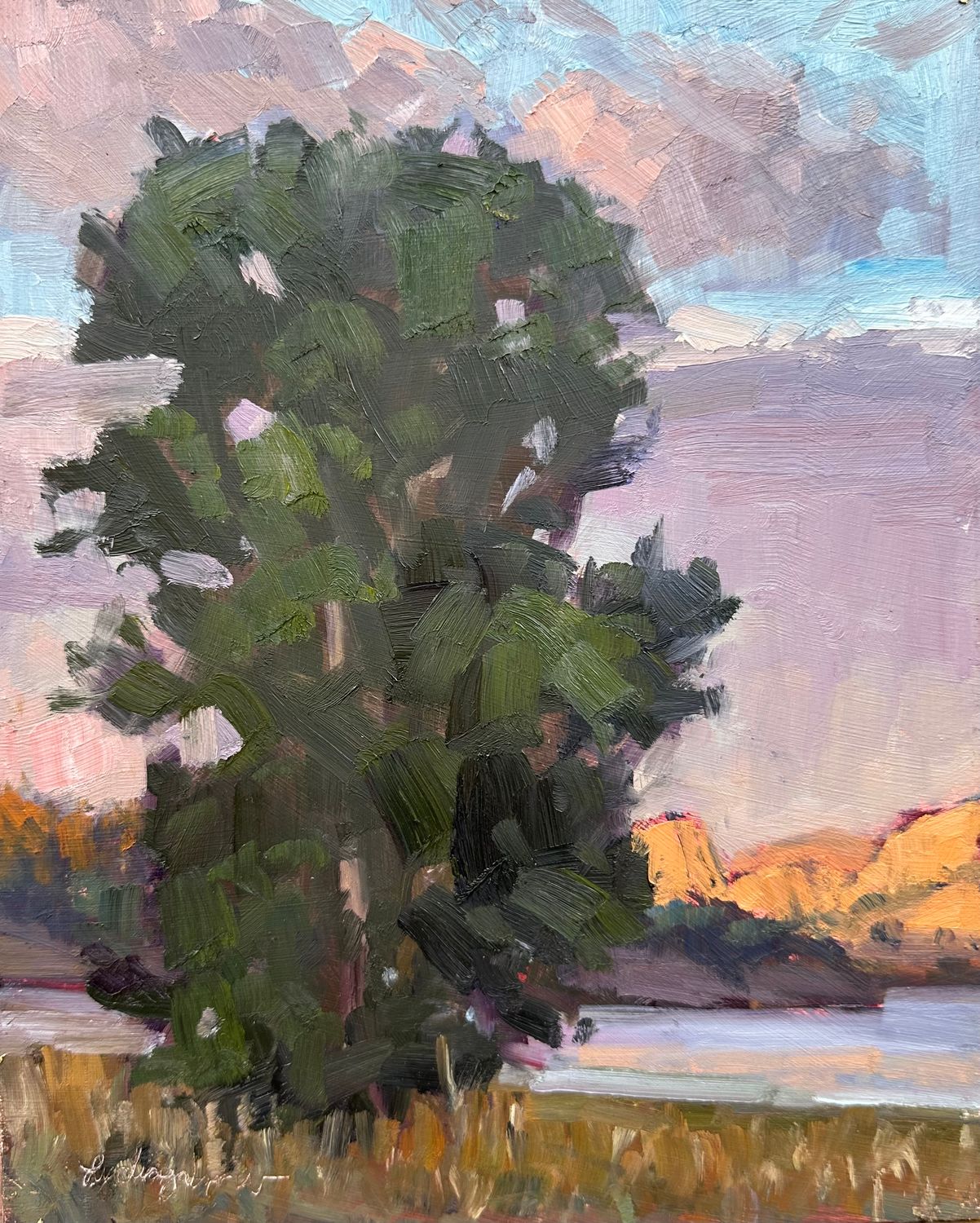Harmony - Prescott Plein Air - Original Oil Painting - 10x8” (unframed)