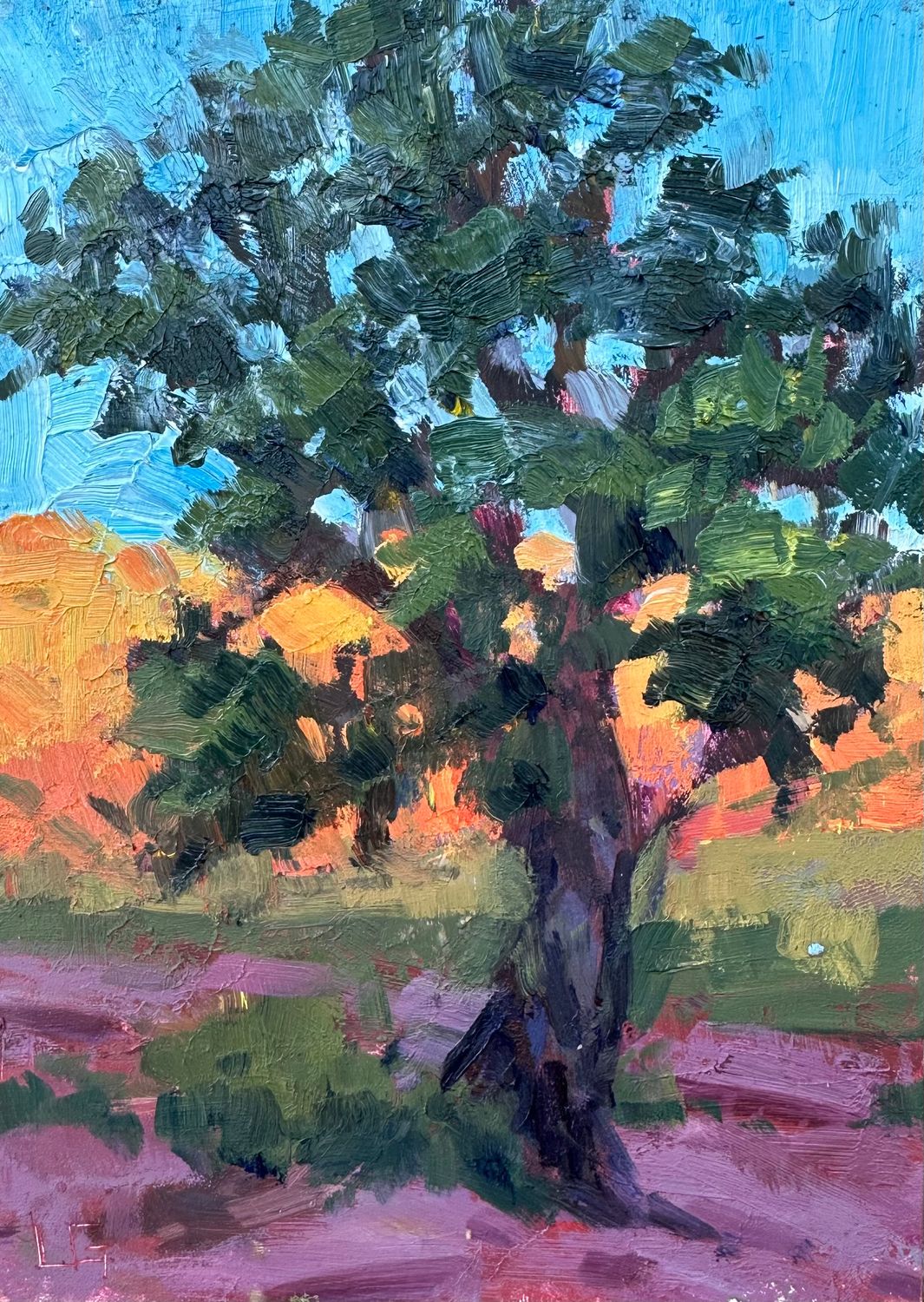 Dancing Juniper - Original Oil Painting - Sedona Field Study